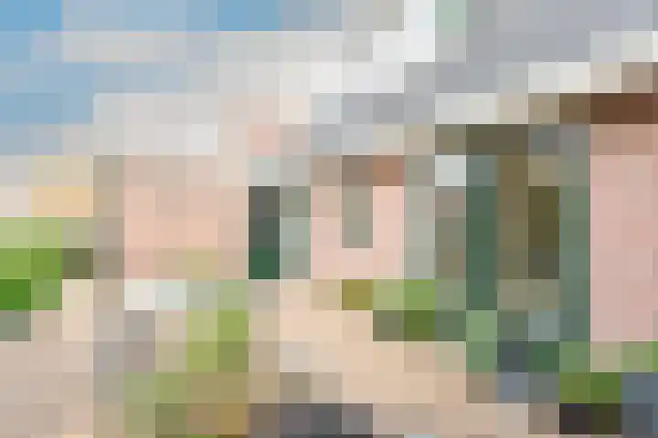 Lijster 3 Obdam thumbnail 51