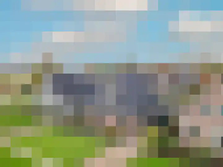 Lijster 3 Obdam thumbnail 52