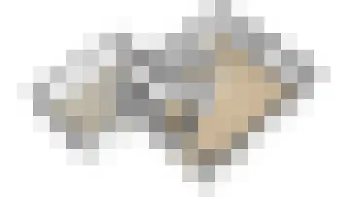 Lijster 3 Obdam thumbnail 55