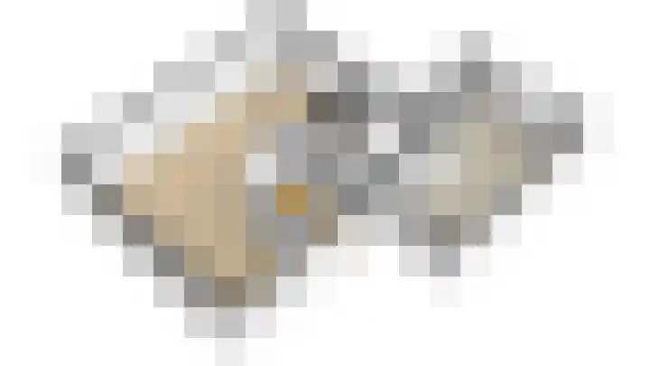 Lijster 3 Obdam thumbnail 56