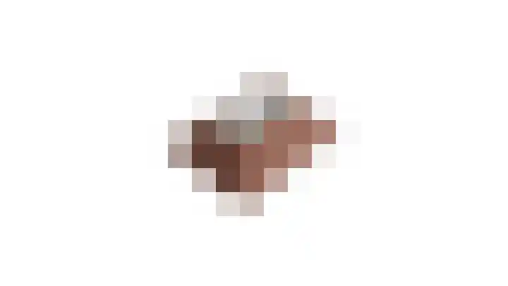 Lijster 3 Obdam thumbnail 61