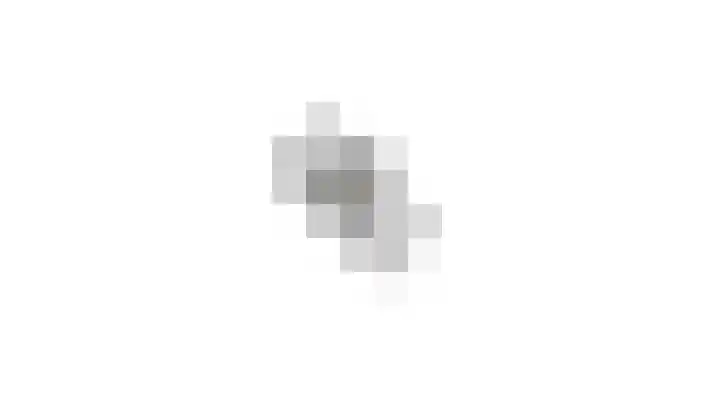 Lijster 3 Obdam thumbnail 64