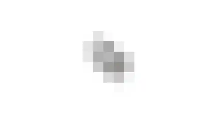 Lijster 3 Obdam thumbnail 65