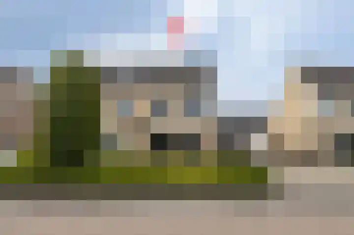 Lijster 30 Spanbroek