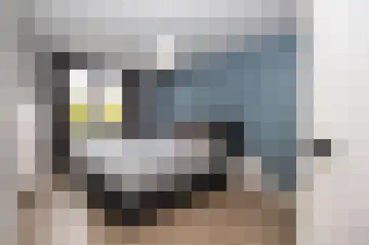 Lijster 30 Spanbroek thumbnail 16