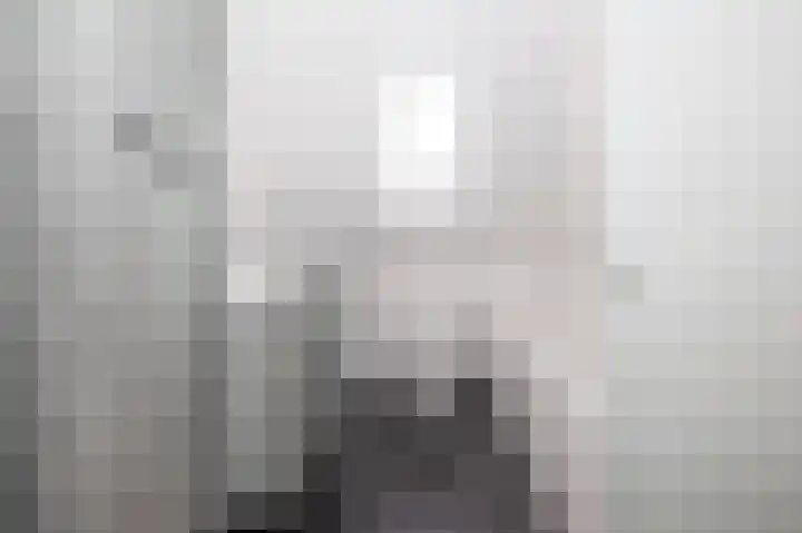 Lijster 30 Spanbroek thumbnail 20
