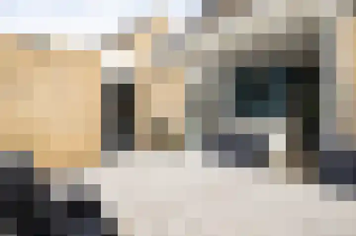 Lijster 30 Spanbroek thumbnail 41