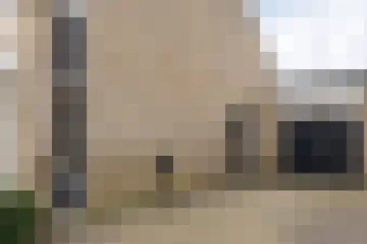 Lijster 30 Spanbroek thumbnail 43