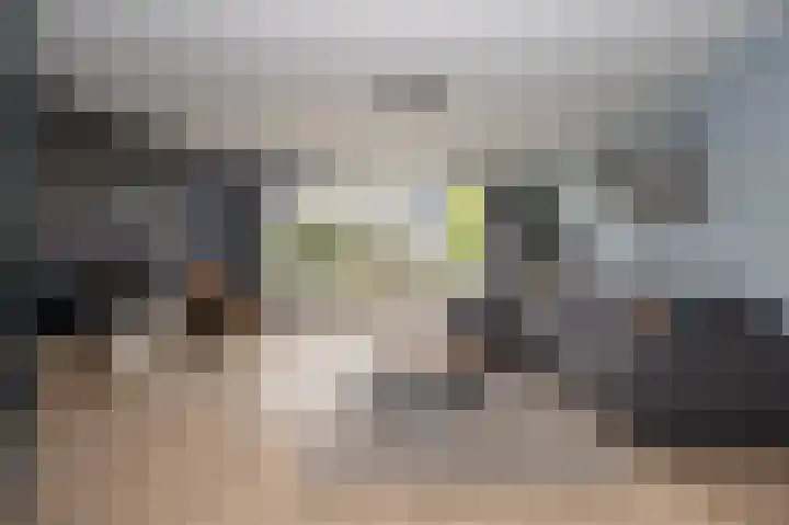 Lijster 30 Spanbroek thumbnail 7