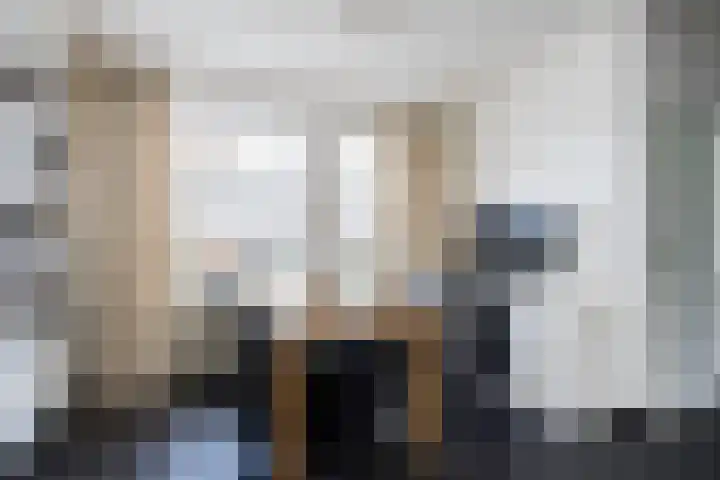 Lijster 38 Sprang-Capelle thumbnail 12
