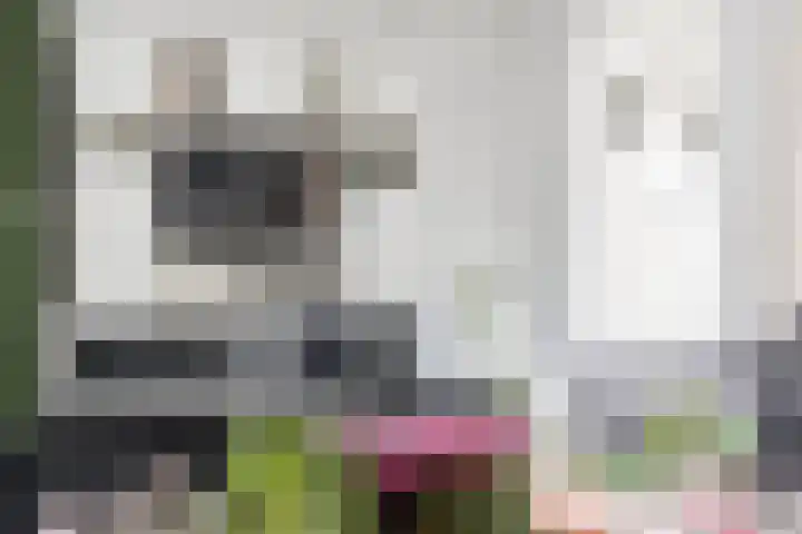 Lijster 38 Sprang-Capelle thumbnail 16