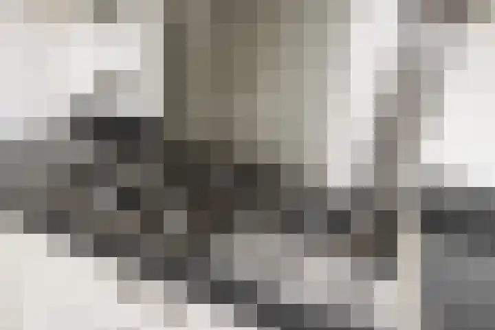 Lijster 38 Sprang-Capelle thumbnail 22
