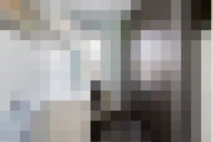 Lijster 38 Sprang-Capelle thumbnail 26