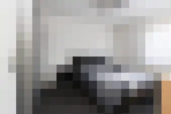 Lijster 38 Sprang-Capelle thumbnail 27