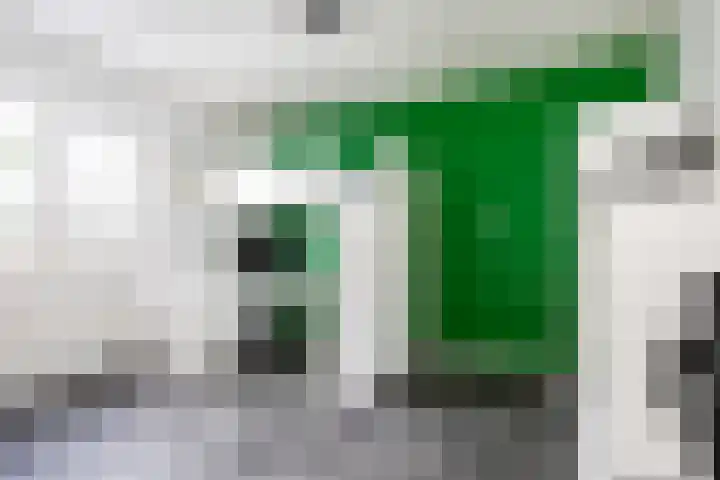 Lijster 38 Sprang-Capelle thumbnail 30