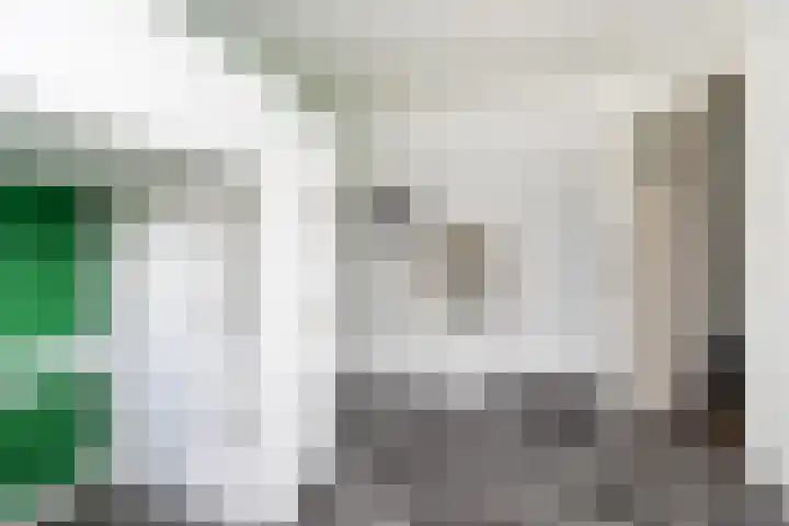 Lijster 38 Sprang-Capelle thumbnail 32