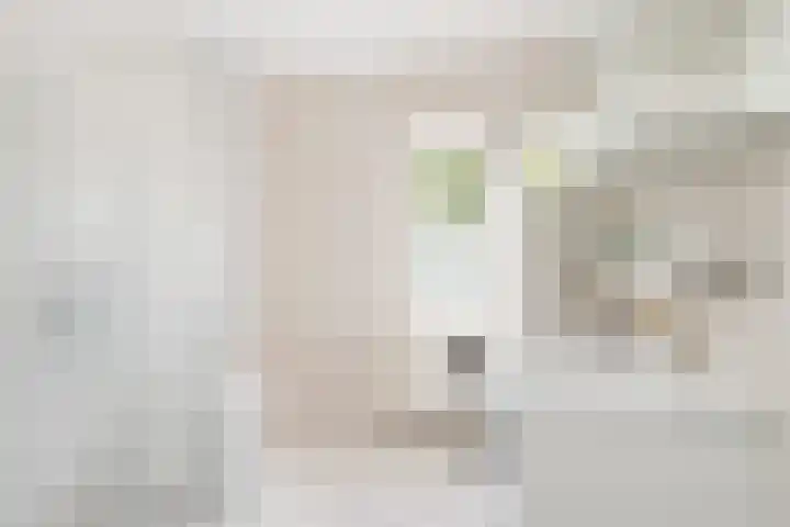 Lijster 38 Sprang-Capelle thumbnail 33