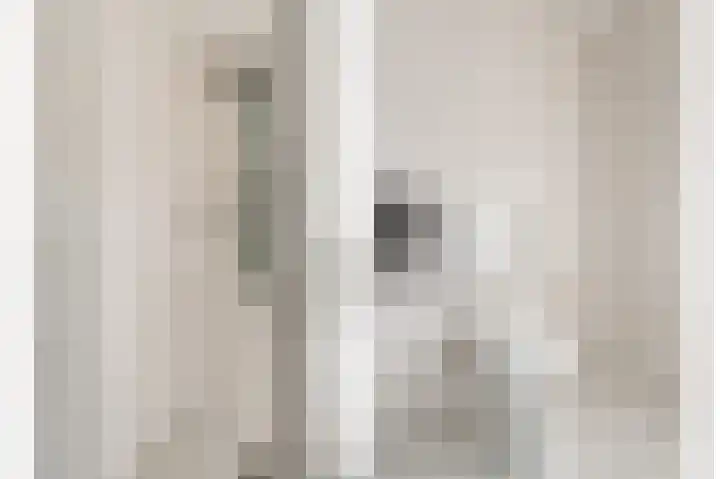 Lijster 38 Sprang-Capelle thumbnail 37