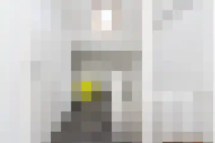 Lijster 38 Sprang-Capelle thumbnail 39