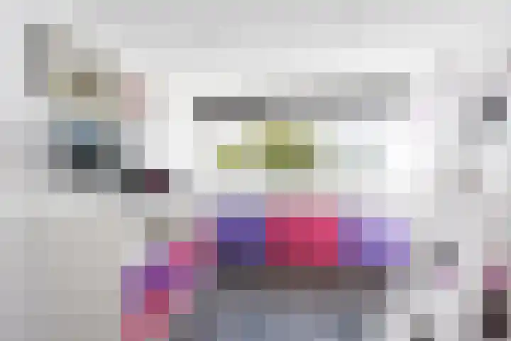 Lijster 38 Sprang-Capelle thumbnail 41