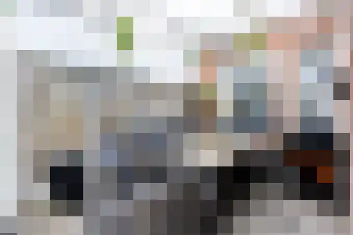 Lijster 38 Sprang-Capelle thumbnail 46