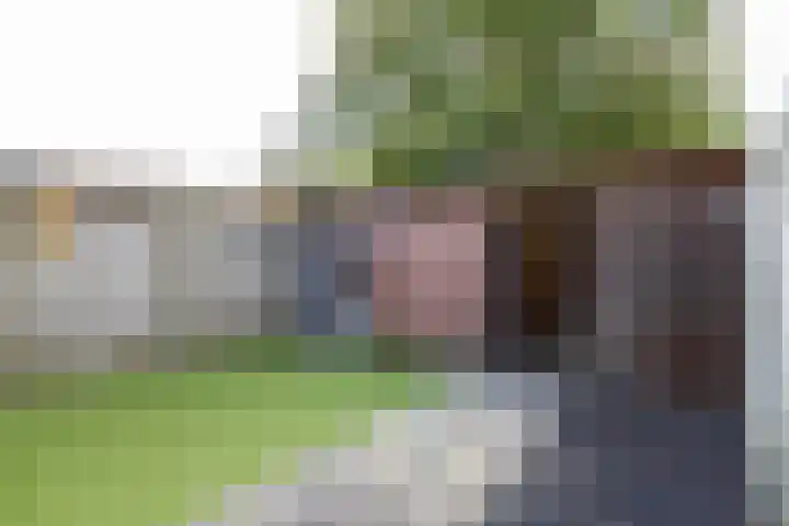 Lijster 38 Sprang-Capelle thumbnail 47
