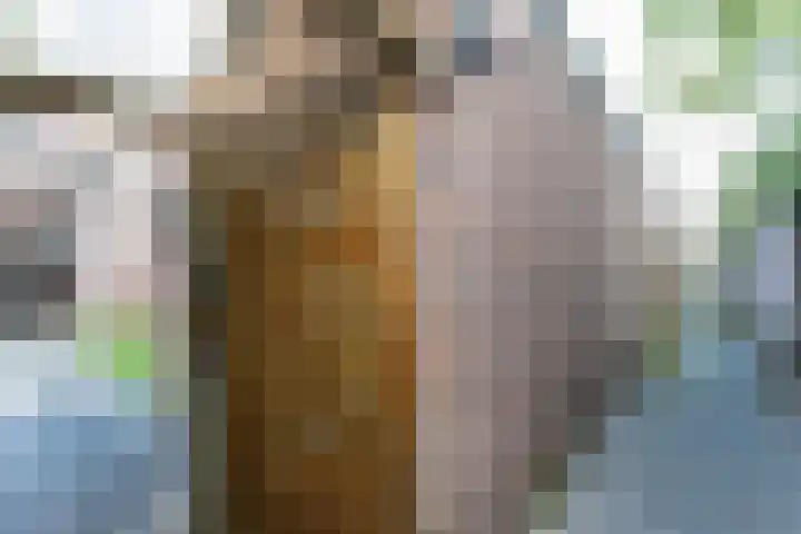 Lijster 38 Sprang-Capelle thumbnail 48