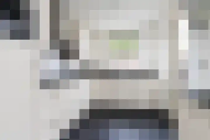 Lijster 38 Sprang-Capelle thumbnail 5
