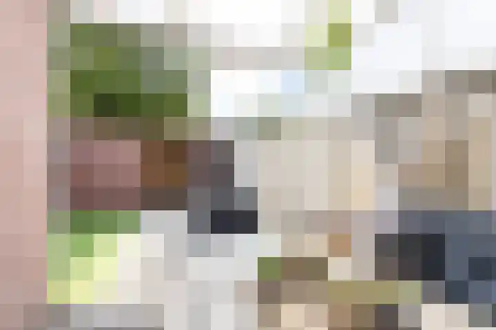 Lijster 38 Sprang-Capelle thumbnail 50