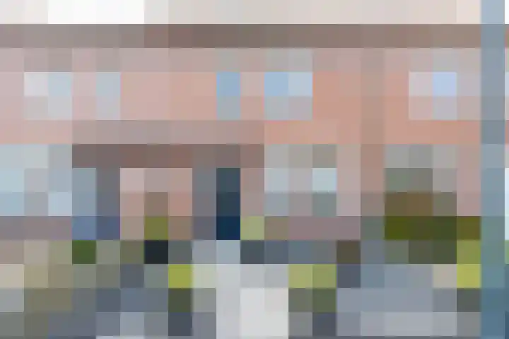 Lijster 38 Sprang-Capelle thumbnail 53