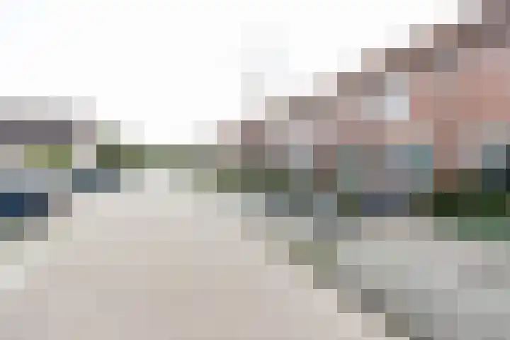 Lijster 38 Sprang-Capelle thumbnail 54