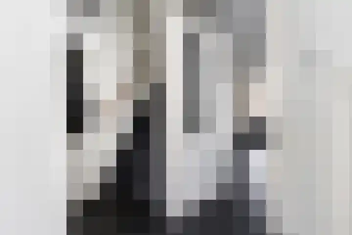 Lijster 38 Sprang-Capelle thumbnail 7