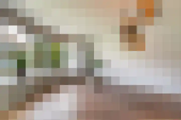 Lijster 42 Spanbroek thumbnail 10