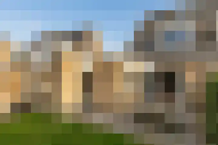 Lijster 42 Spanbroek thumbnail 4