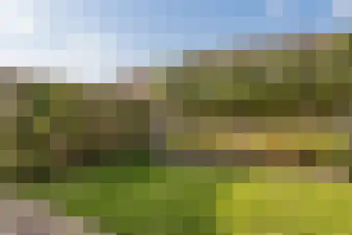 Lijster 42 Spanbroek thumbnail 49