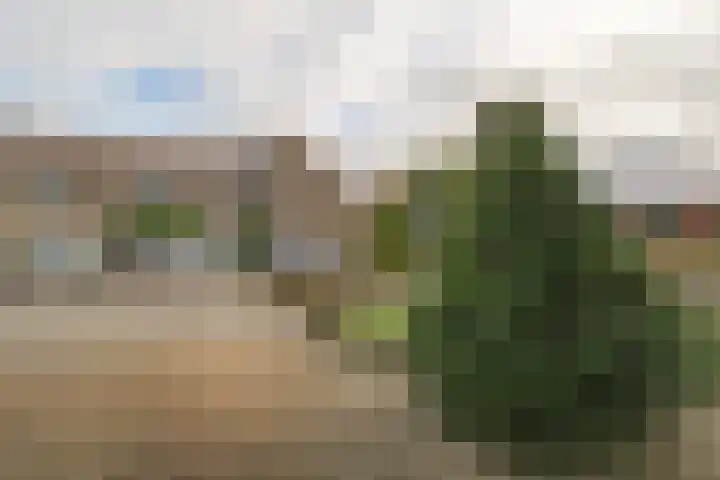 Lijster 42 Spanbroek thumbnail 52