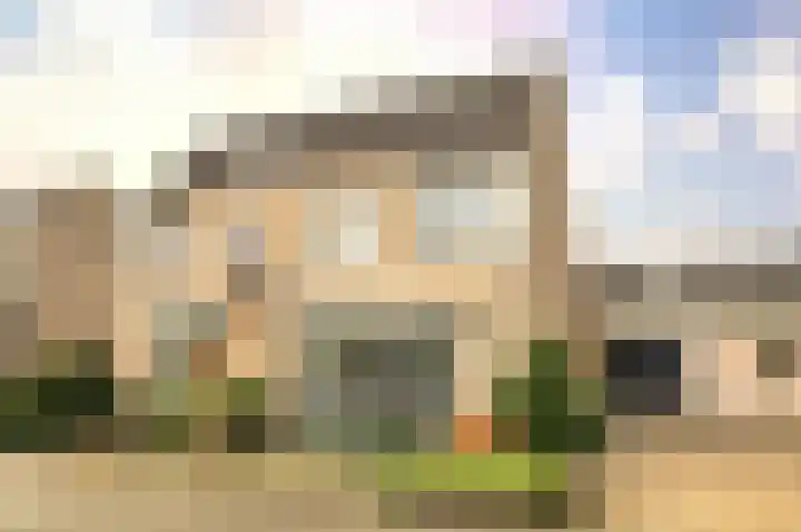 Lijster 42 Spanbroek thumbnail 54