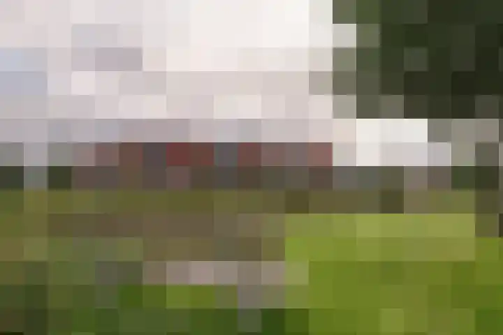 Lijster 42 Spanbroek thumbnail 57