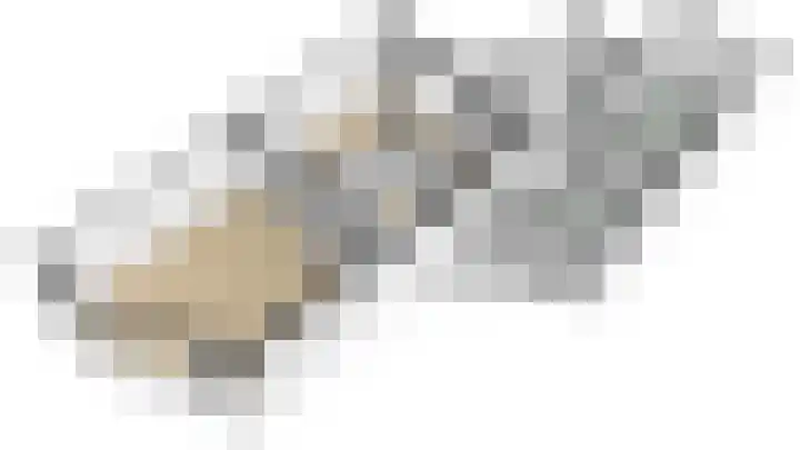 Lijster 42 Spanbroek thumbnail 6