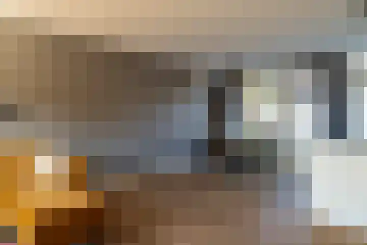 Lijster 48 Sprang-Capelle thumbnail 12