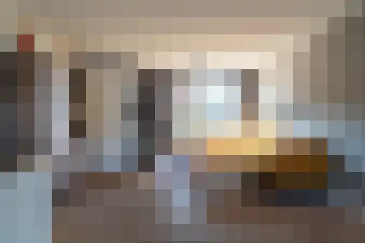 Lijster 48 Sprang-Capelle thumbnail 13