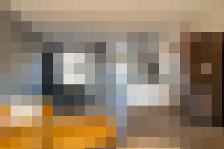 Lijster 48 Sprang-Capelle thumbnail 14