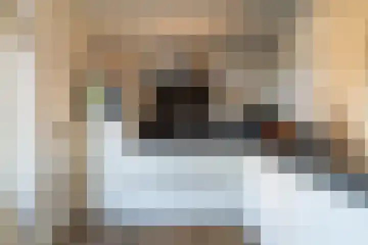 Lijster 48 Sprang-Capelle thumbnail 15
