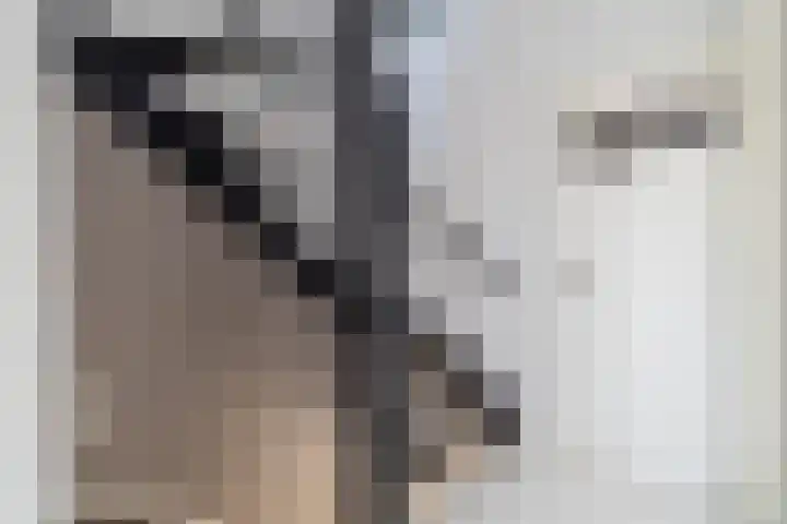 Lijster 48 Sprang-Capelle thumbnail 18