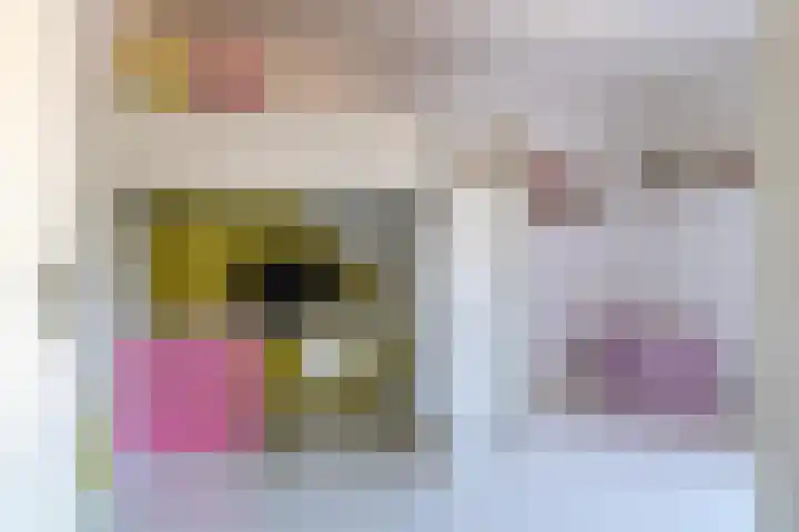 Lijster 48 Sprang-Capelle thumbnail 21