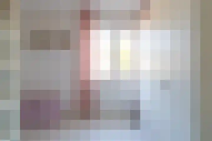 Lijster 48 Sprang-Capelle thumbnail 22