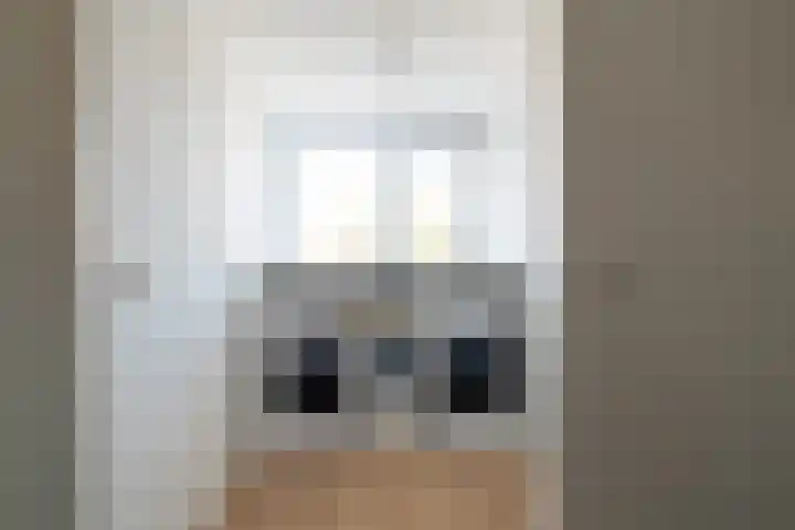 Lijster 48 Sprang-Capelle thumbnail 27