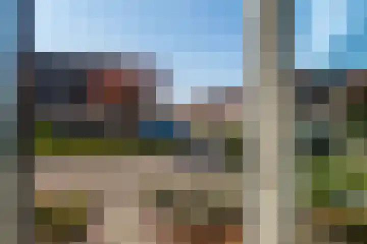 Lijster 48 Sprang-Capelle thumbnail 8