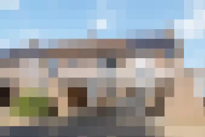 Lijster 7 Raalte