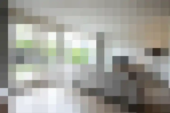 Lijster 8 Eijsden thumbnail 17